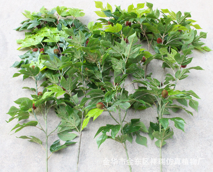 XRB-166构叶五叉枝立体9