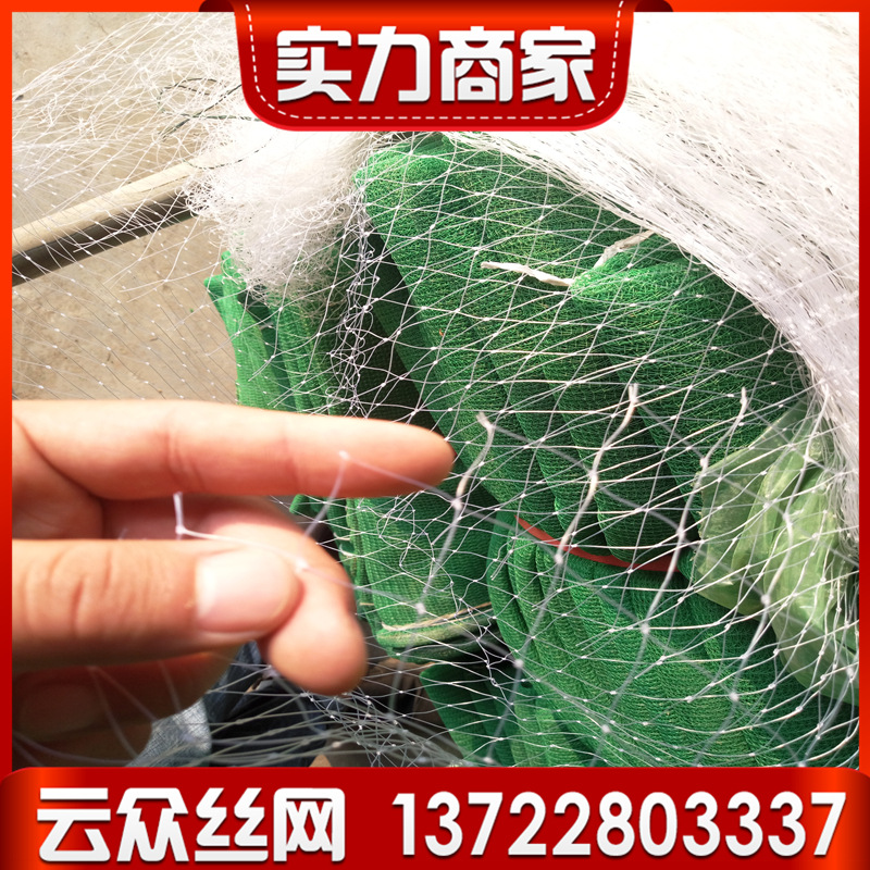 goods in stock supply Anti-bird netting Orchard Fence Pond breed Net grape Pheasants nets