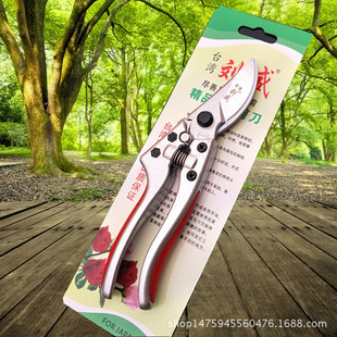 ���l̨����ʢP-A8-1��֦�������ɹ����������֦����֦��@���ּ�