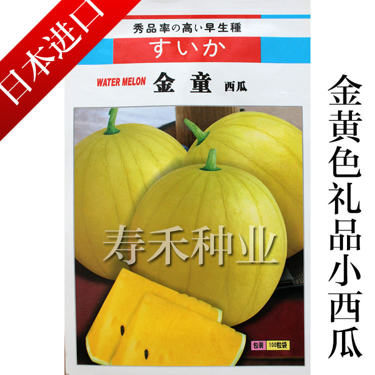 日本引进金童西瓜种子，黄皮黄瓤早熟，薄皮礼品小西瓜种子 | 优质种子选择