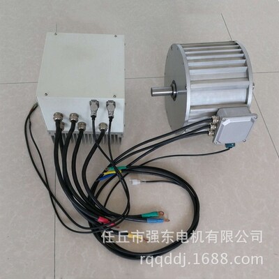 Speed Permanent magnet synchronization electrical machinery According to customer Requirement Custom motor DC Permanent magnet motor