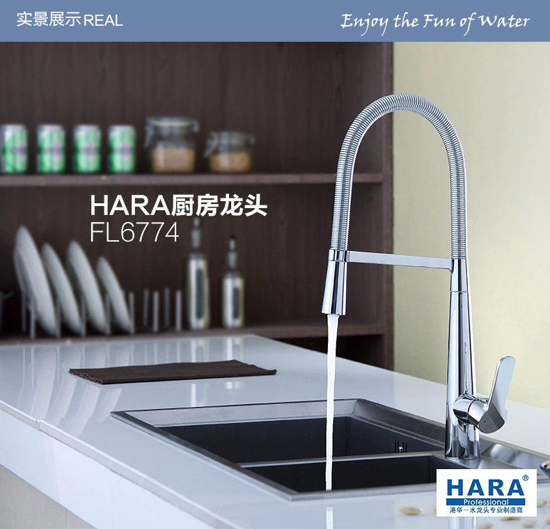 Хара Hanrui насосной пружины кухонная головка FL6774