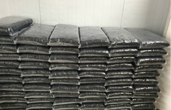 QQ图片20170621102702