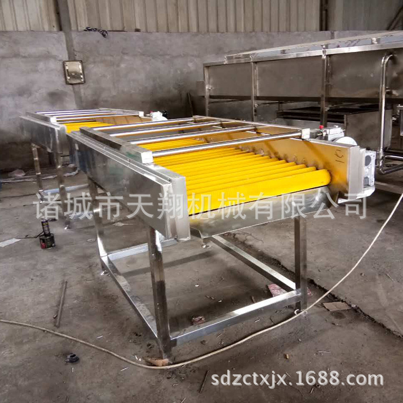 天翔供应牛蒡清洗机蔬菜水果清洗机 果蔬清洗机售后保障