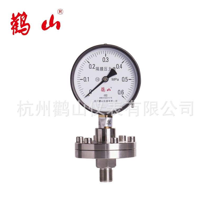 Мембранный манометр с резьбовым соединением YPF100ML Обычный мембранный мембранный манометр Прямая продажа с фабрики