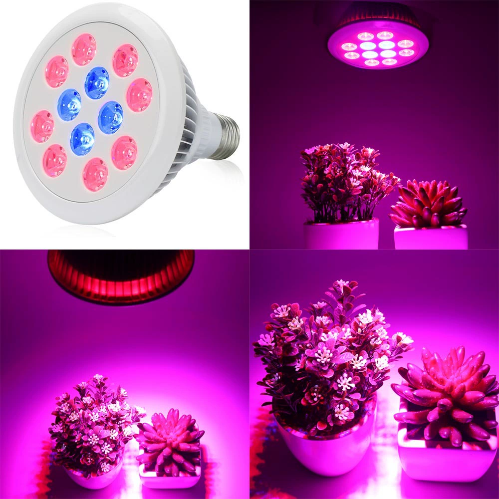 LED-лампа для освещения роста растений E27 36Вт для комнатных сеянцев, фруктов и овощей, мясных цветов, заполнение света для роста растений