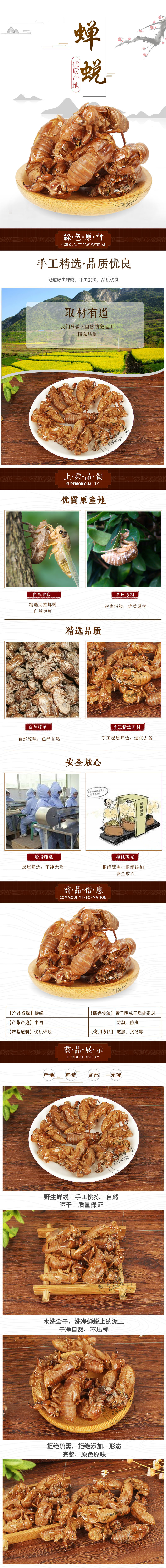 Cicada Slough Chan Tui 蝉蜕 Dried Whole Insect Molt Traditional Chinese Herb for Decoction 500g overview