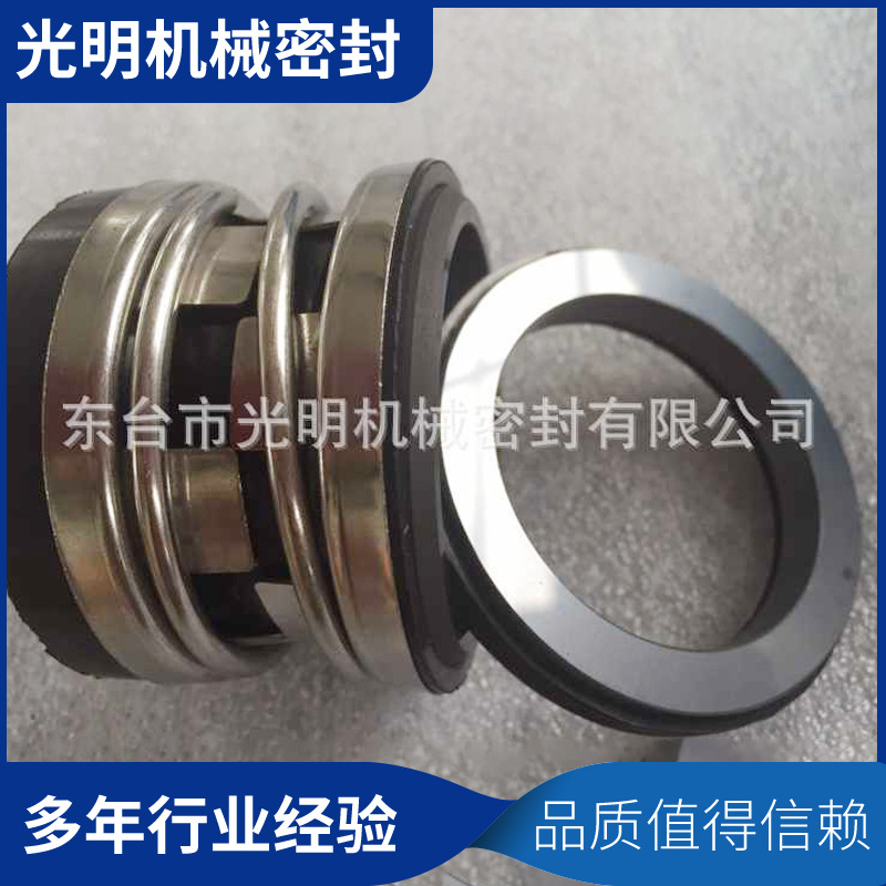 2100-35机械密封釜用水泵用耐腐蚀高温轴用光明