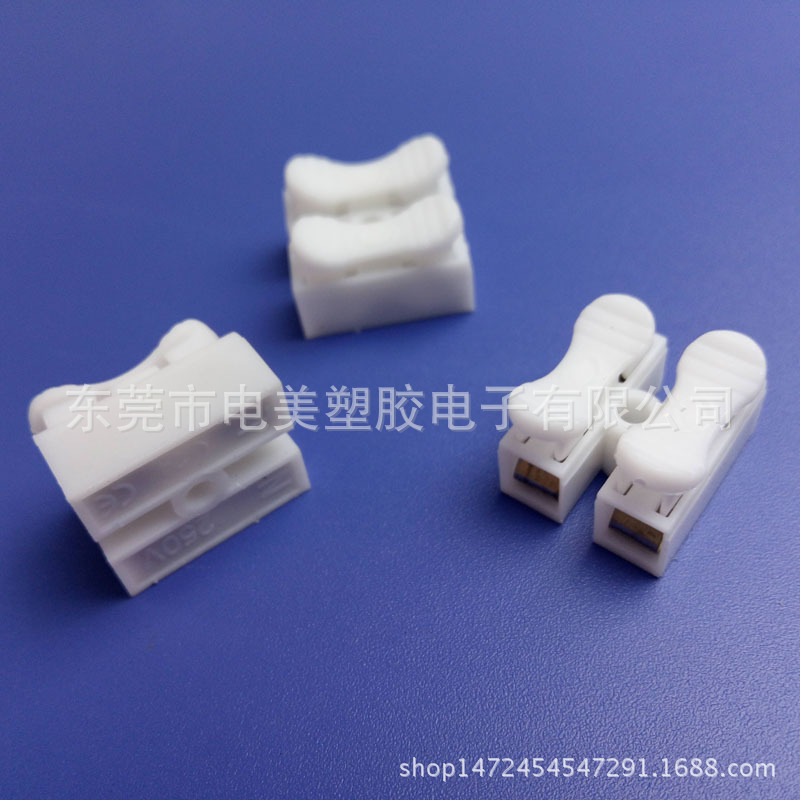 CH-2接线端子 (3)