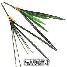 ��ޥ�m�~ �����~ �m���~ ����ֲ��Gֲ ����ֲ��~����С�~��