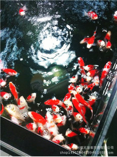 �ձ��\�� ���\�� ��ˮ�~ �^�p�~ �~���\�����w ��ɫ�\�� ���~