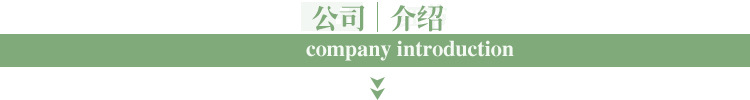 公司介绍 (2)
