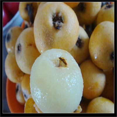 当年结果大果白沙枇杷苗2年白肉枇杷树 种植果树 枇杷树苗枇杷苗|ru