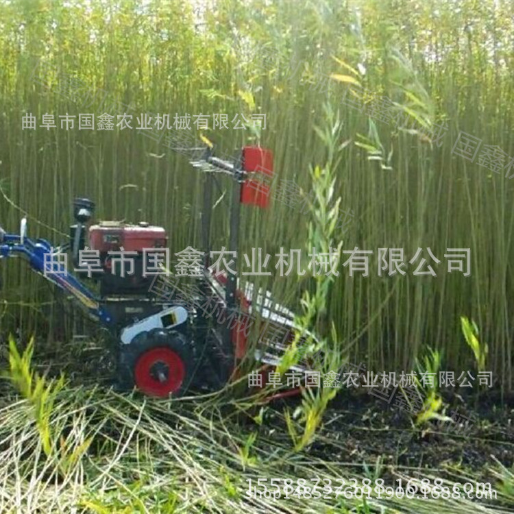 衡水轻便式辣椒收获机