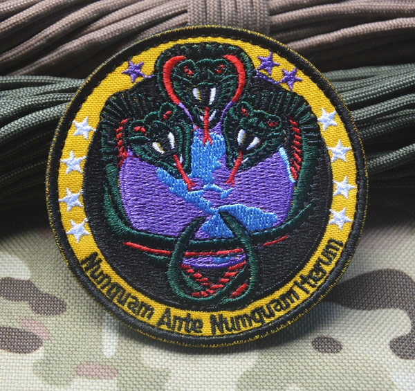 NRO National Investigation Office V00543