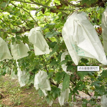 �S�ҹ������������δ�ˮ��������  �ɚgӭ�����ԃ