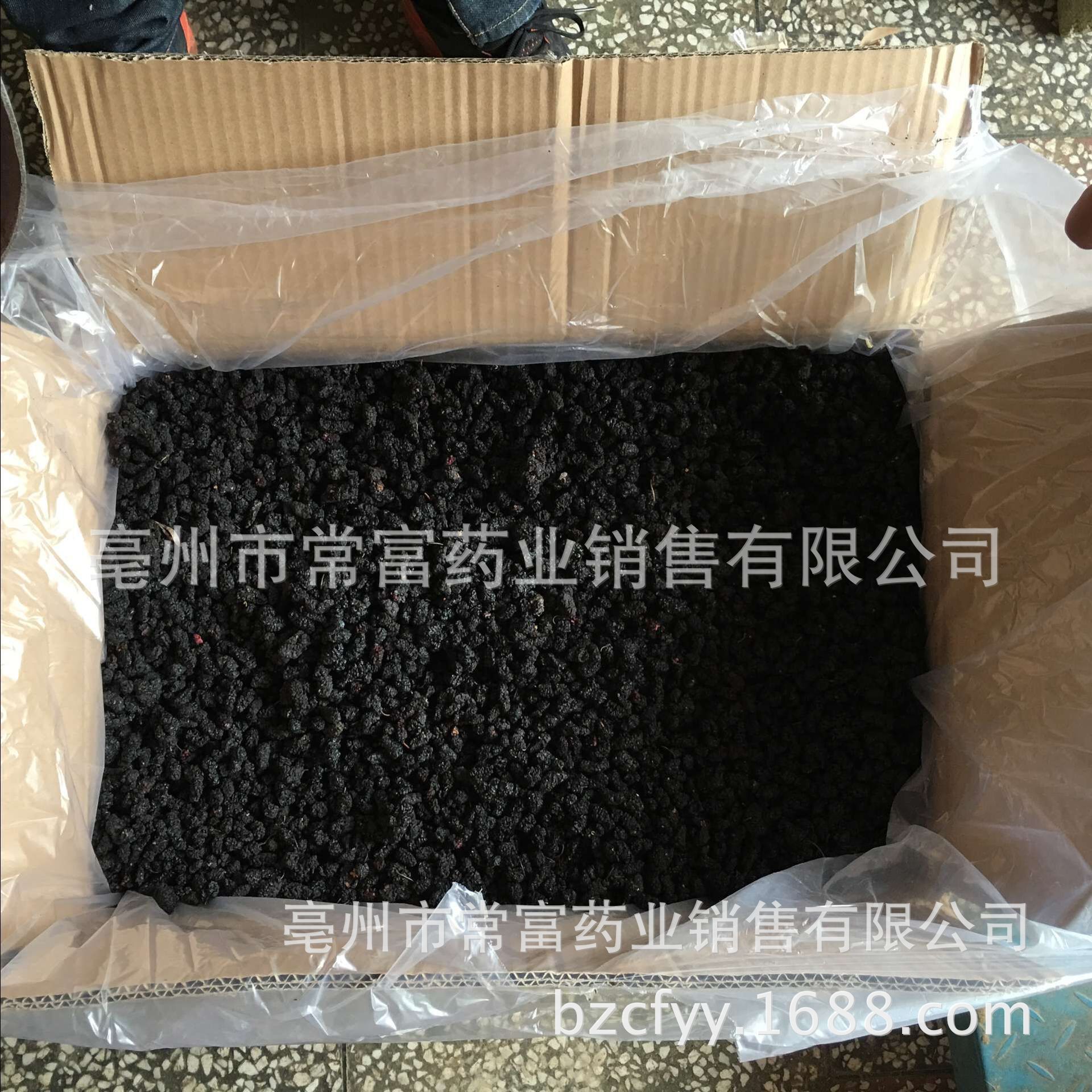 Dried Black Mulberry Sang Shen 140g Jar Washed Ready to Eat Snack and Tea Herb in use