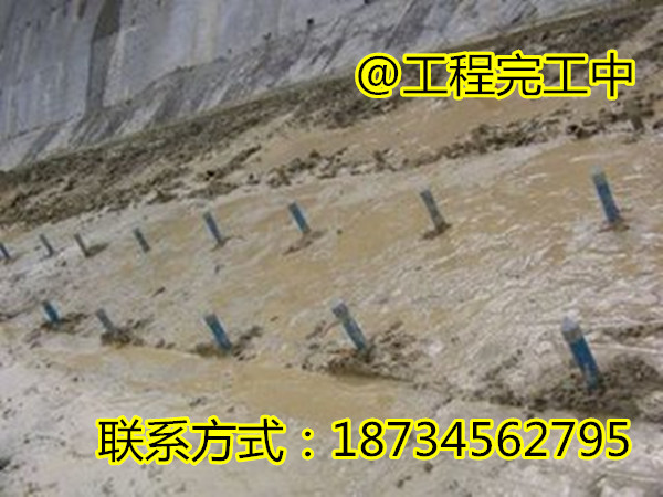 t019031baec5f282bb6[1]_����