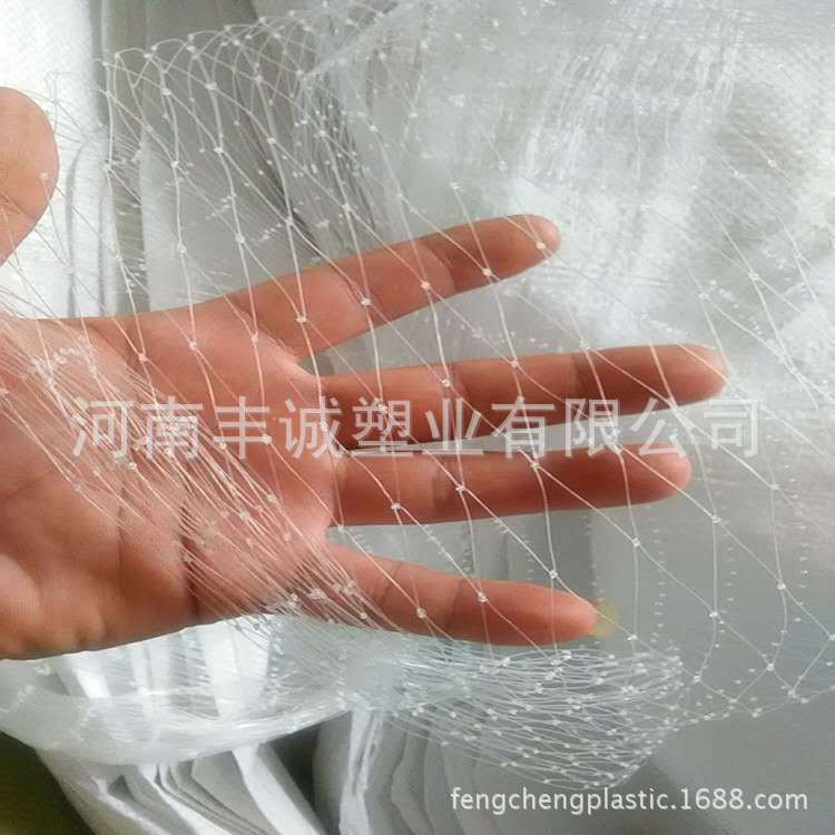 葡萄果园防鸟网苹果园梨园樱桃园防鸟网果树防鸟网枸杞防鸟网