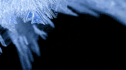 QQ图片20171117124332合肥冰冻