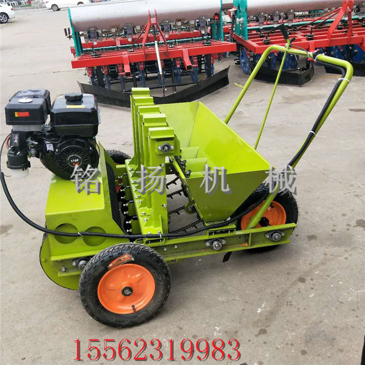 新型种蒜机哪里有卖烟台自走式插蒜栽蒜机