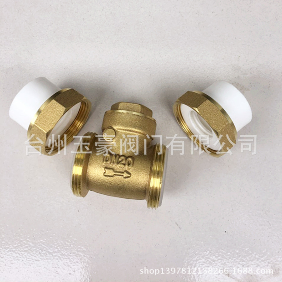 PPR止回阀1