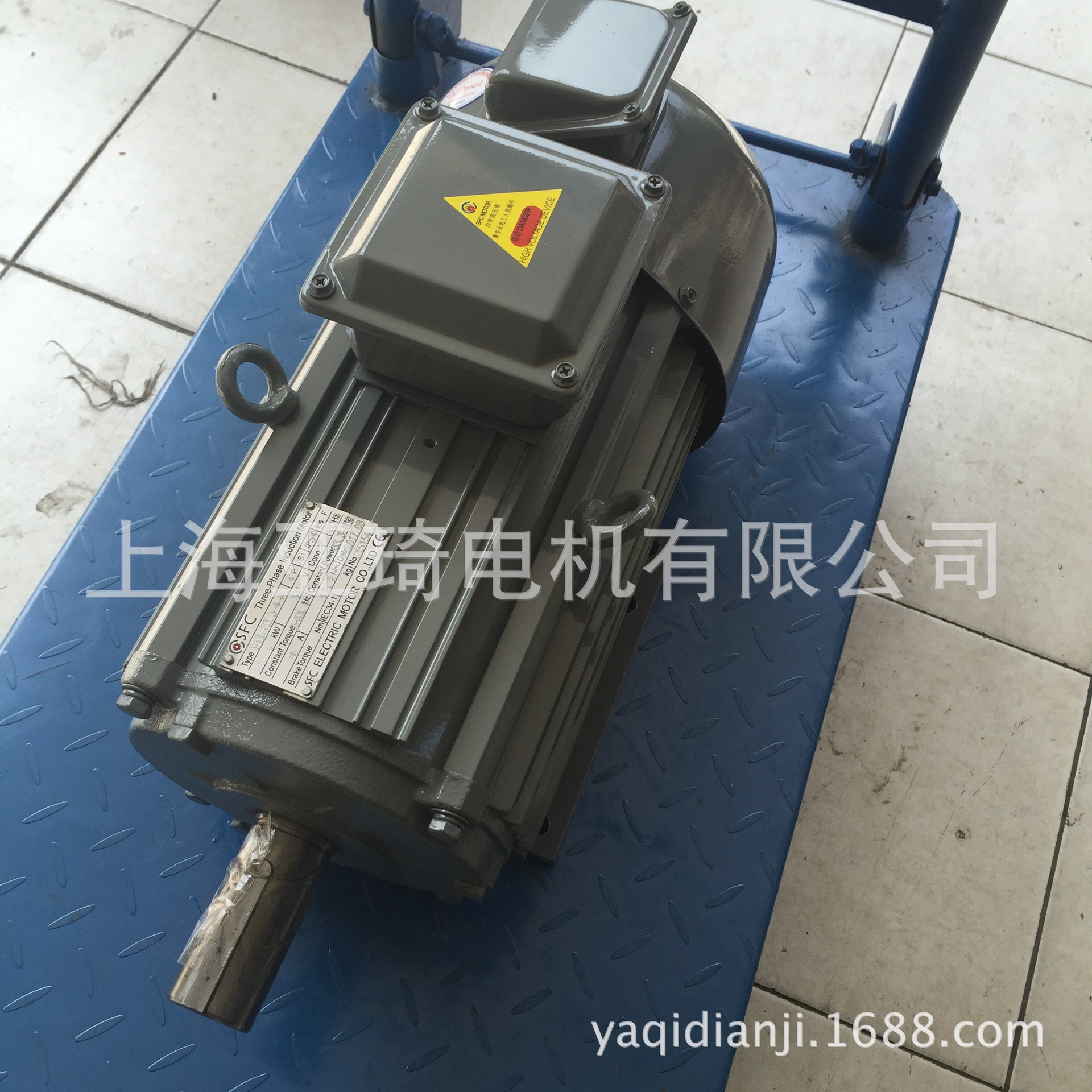 SFC MOTORS |SFC Motor