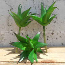 ��������_�Ĳݸ߷�ֲ��ģ�͹�ˇƷ���ݾGֲ�����Ʒ���J�C