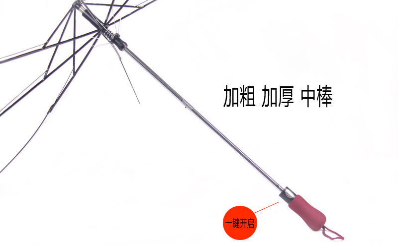 3513343908_878290307_04