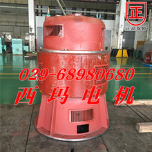 JRL-15-8 380KW 铜滑环绕线电机