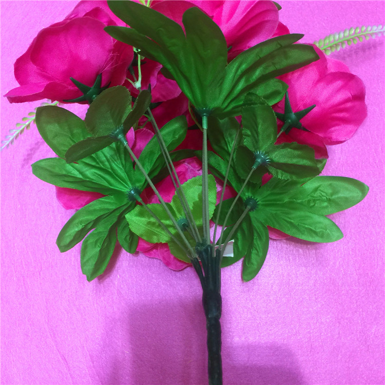 IMG_8455(20170816-153246)