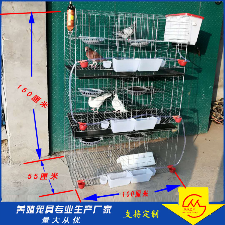 6位鸽笼原版 (6)