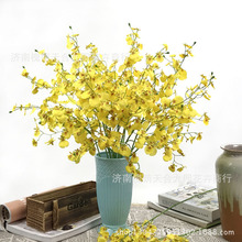 4���ȸ�����m �����m ���滨�ٻ� ��c�Ҿ��b� ����ֲ�� �zӰ