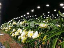 希艳照报价,袍人体的越野性能,子的房高清图片