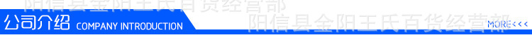 公司介绍
