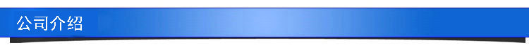 公司介绍