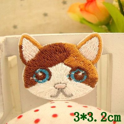 파란 눈 고양이