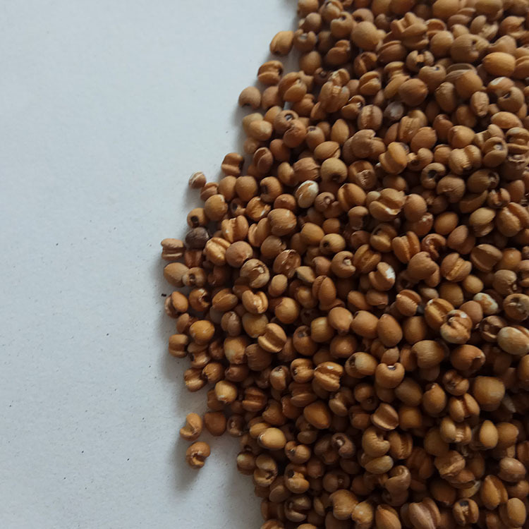 Roasted Red Coix Seed Low Temperature Baked Yi Mi 500g Chinese Grain quality and texture
