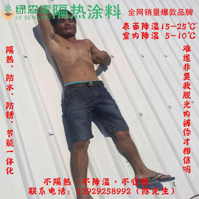 直銷綠森霖納米隔熱塗料 廣東廠房降溫 屋頂防曬 熱反射塗料施工