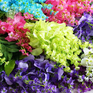 �������ٻ��L�����Y��c��ӡ����֦��������bS�������L��