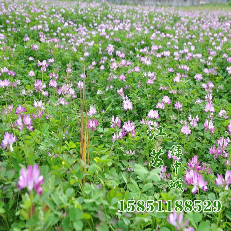 未命名_副本5_副本1