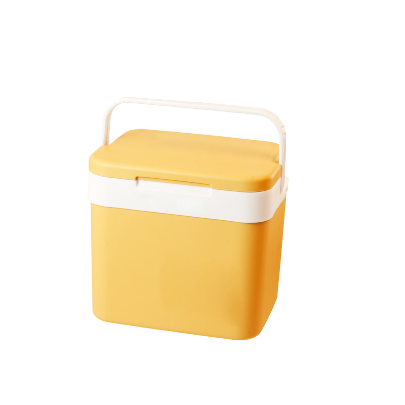 新款10L便携式户外休闲郊游保温箱冷藏箱