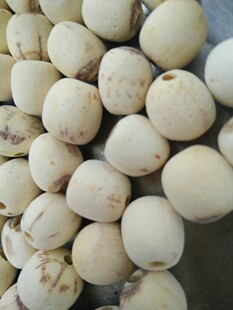 22�������ɏ�o�İ�ɏ��ȥоĥƤ ͨ��ĥɏ��؛ɢ�b���l