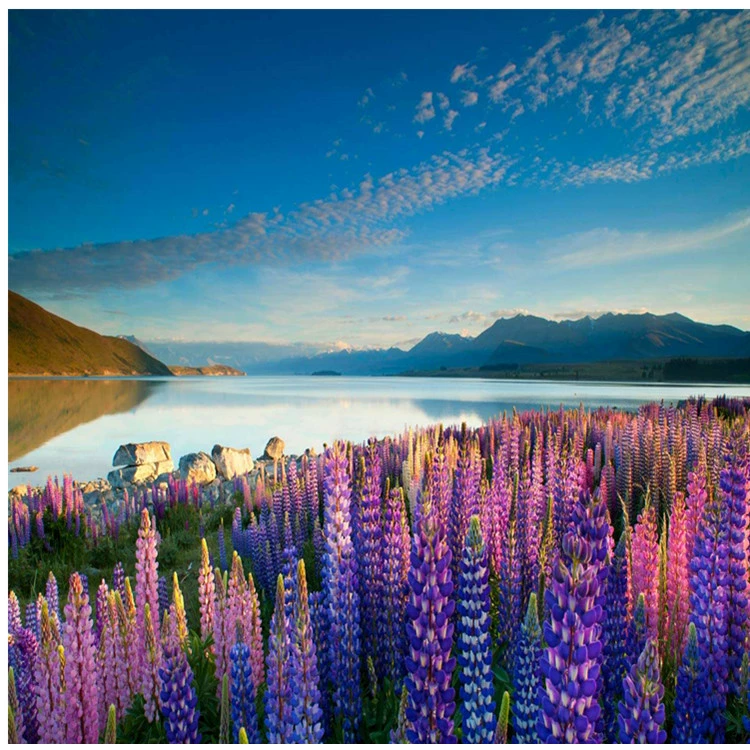 [Feilong Садоводство] Лу Бинхуа Семена Озеленение Горшечные Балконные Цветы Большое количество льготных сортов Полное и доступное