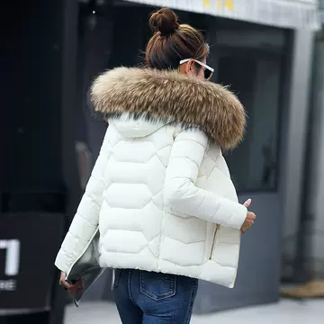 2020 Korean new cotton padded jacket women's short slim fit foreign trade women's cotton padded jacket big hair collar down cotton coat student coat - ShopShipShake