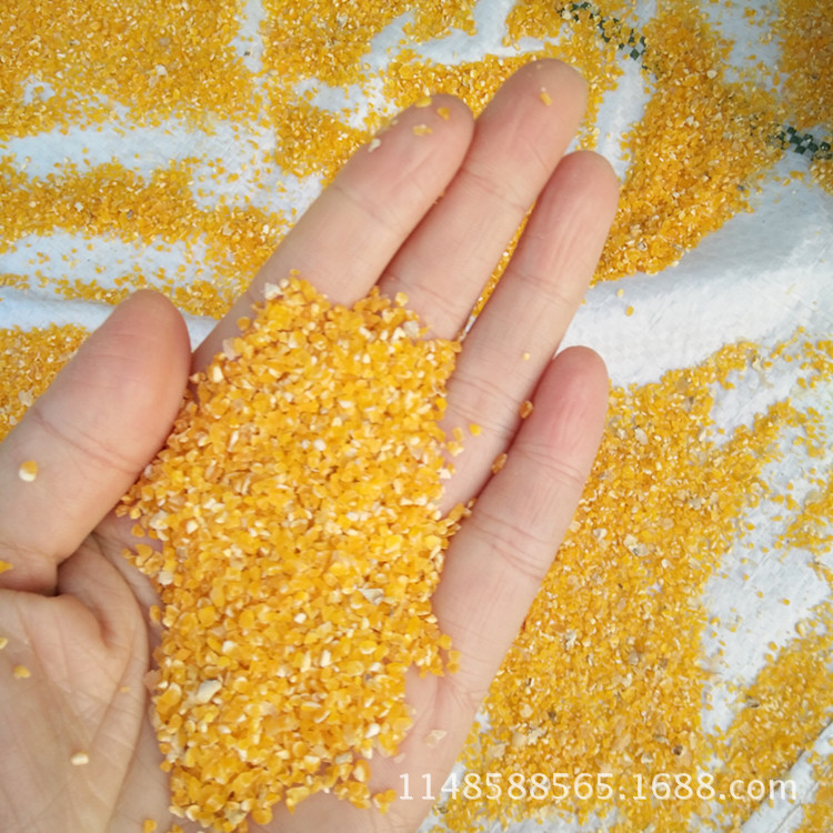 分离式杂粮磕糝机 玉米去皮打糁机 五谷杂粮脱皮制糁机