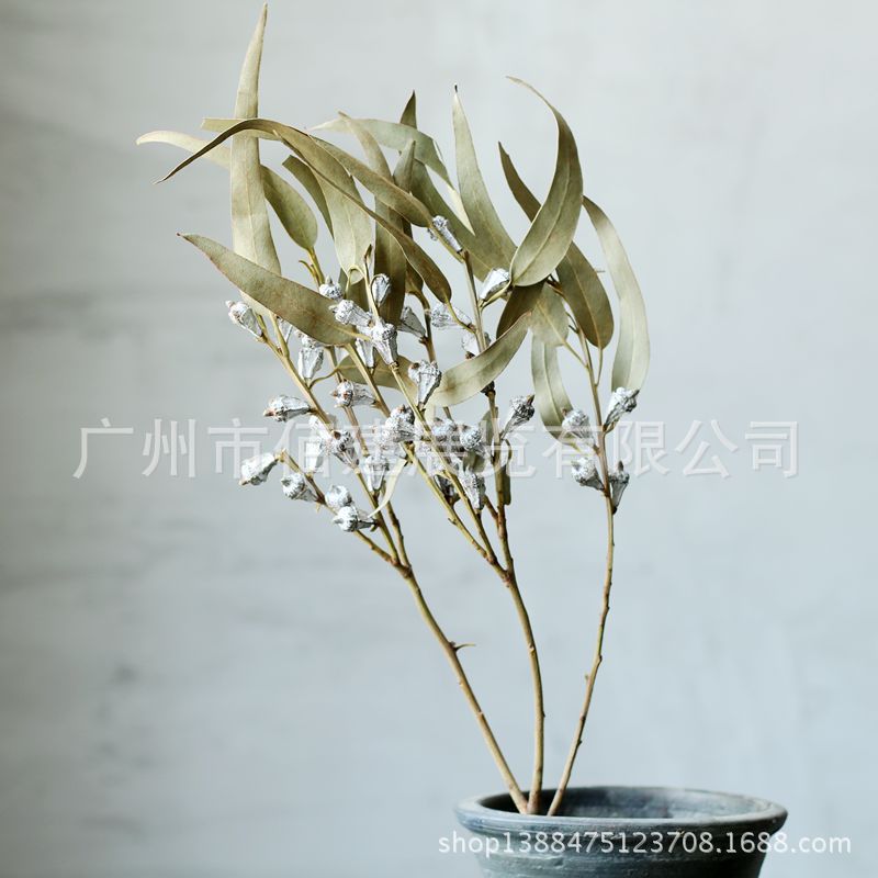 【蓝桉果】文艺原生态干花干果插花家居咖啡屋酒吧装饰干花花艺|ms