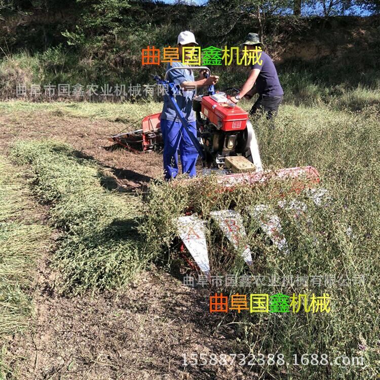 衡水轻便式辣椒收获机