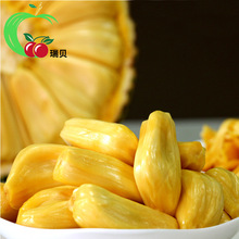 一斤菠萝蜜价格_最新一斤菠萝蜜价格\/批发报价