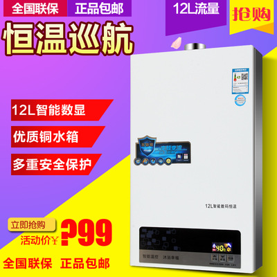 批發 家用 天燃氣熱水器 恒溫燃氣熱水器煤氣熱水器 液化氣熱水器